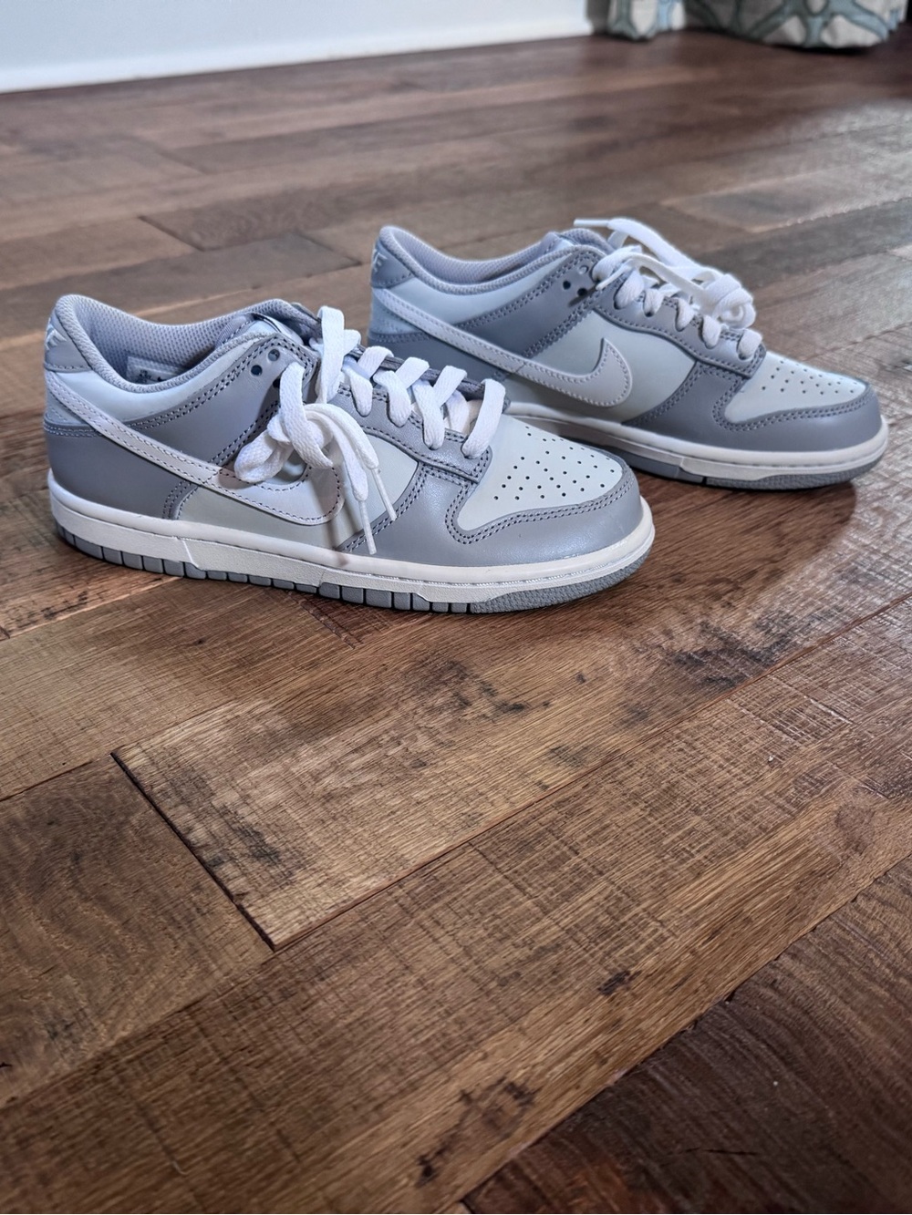 Youth Nike Dunk Low